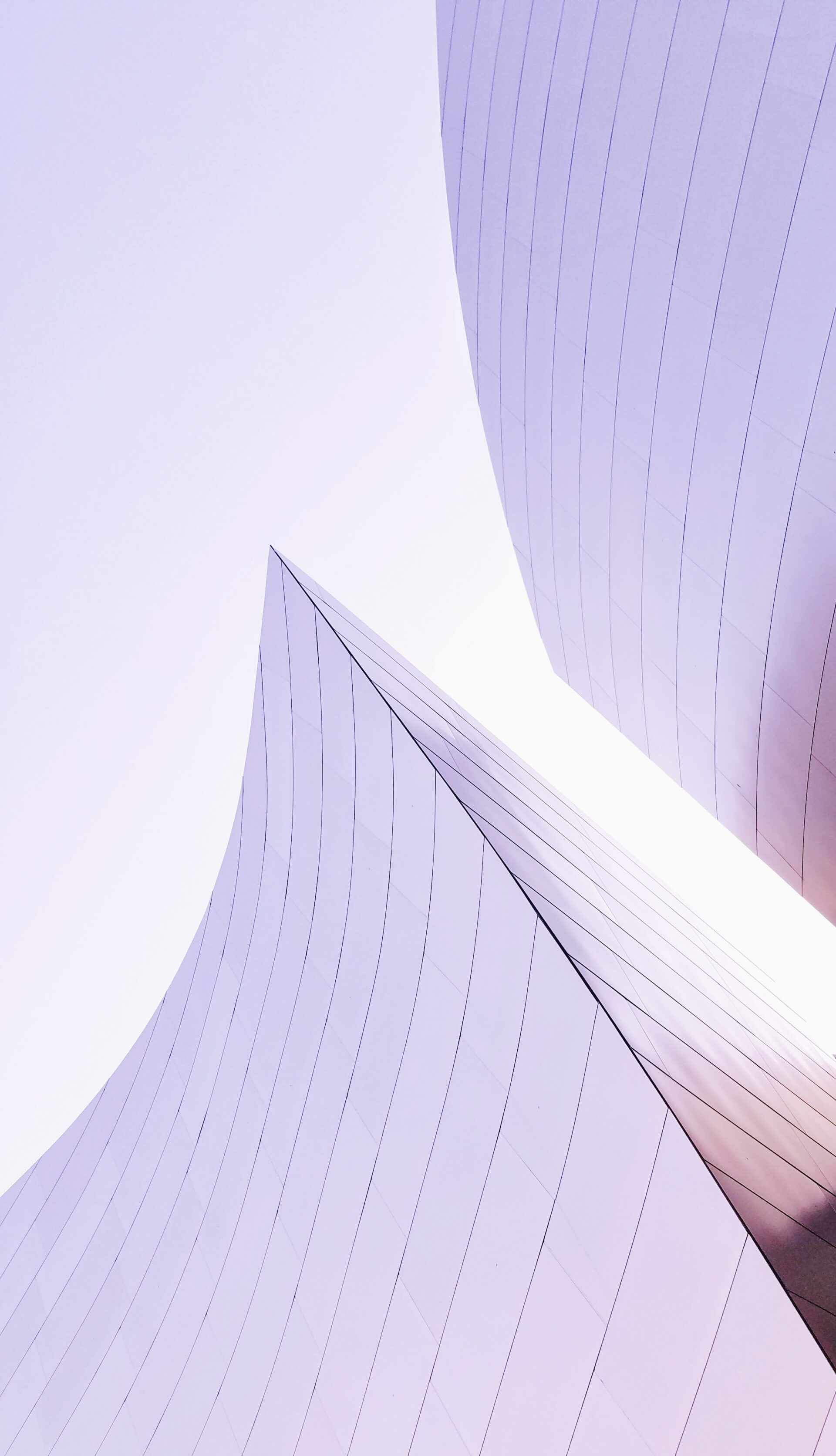 New Zealand Companies Register